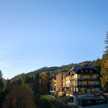 Alpenhotel Goesing Puchenstuben المظهر الخارجي الصورة