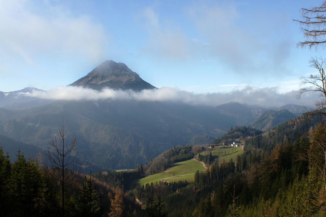 Alpenhotel Goesing Puchenstuben المظهر الخارجي الصورة