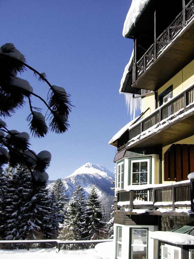 Alpenhotel Goesing Puchenstuben المظهر الخارجي الصورة
