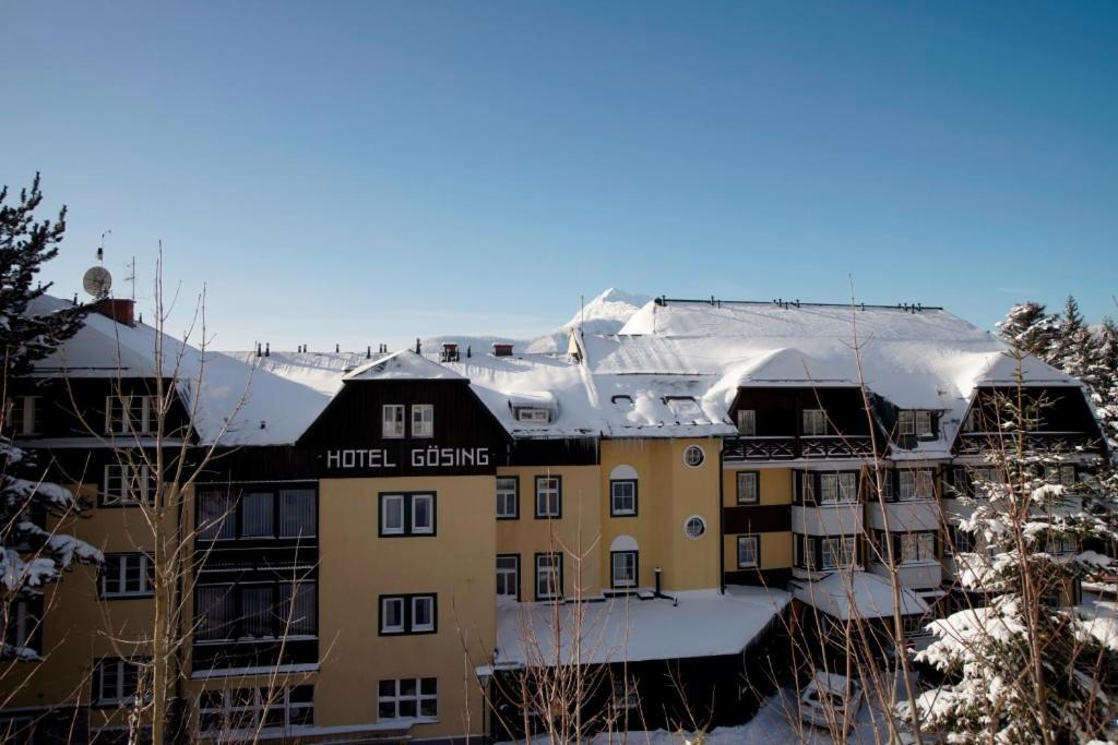 Alpenhotel Goesing Puchenstuben المظهر الخارجي الصورة